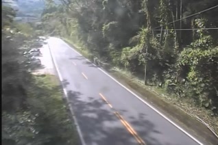 台18線  65K+970 嘉義縣阿里山鄉迷糊步道 東向路側 距離5.0公里 氣溫24.5度