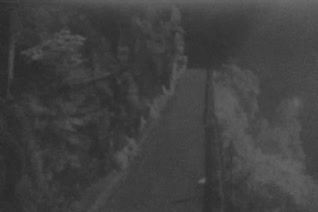 台8線  8K+550 青山發電廠路段 距離2.6公里 氣溫14.7度