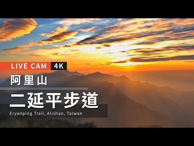 阿里山  二延平步道 距離4.1公里 氣溫24.4度