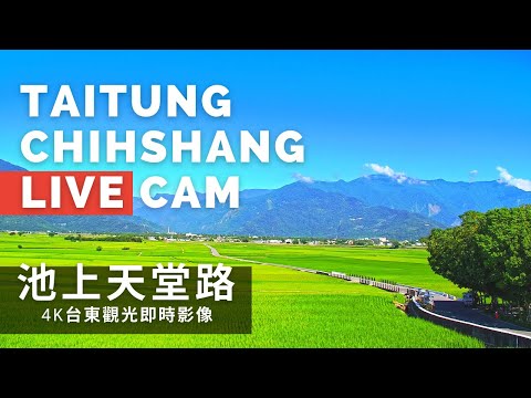 台東景點  池上天堂路 距離3.2公里 氣溫27.1度