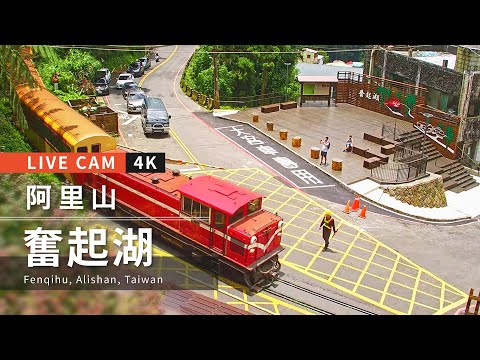 阿里山  奮起湖 距離3.6公里 氣溫17.3度