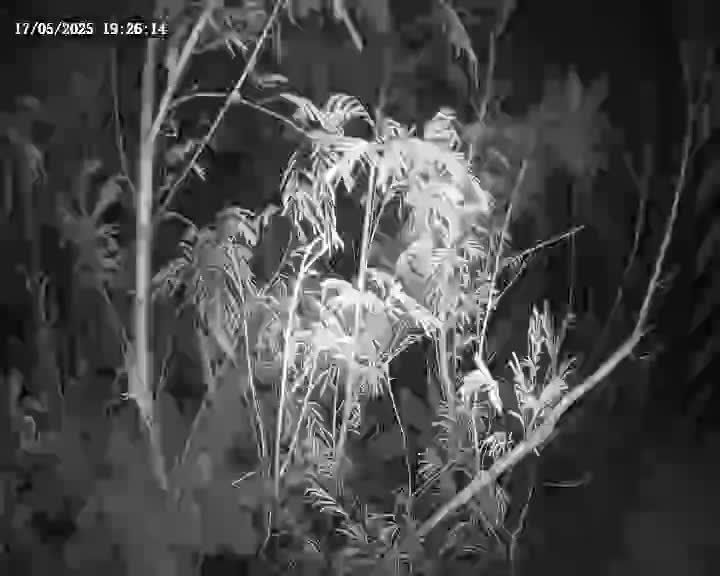 水利署水資源  四河局 26號水門(內水) 距離0.4公里 氣溫28.6度