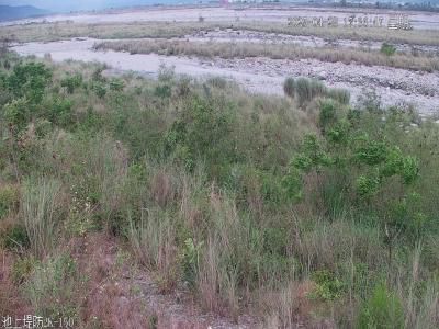 水利署水資源  八河局 池上堤防2K+150即時影像圖 距離5.1公里 氣溫27.1度