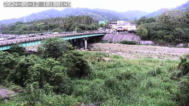 水利署水資源 水利行政組 延平橋(1)