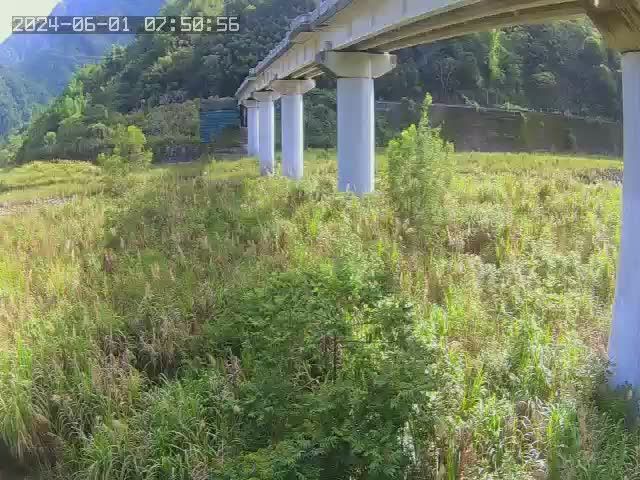 水利署水資源 水利行政組 社興橋(2)