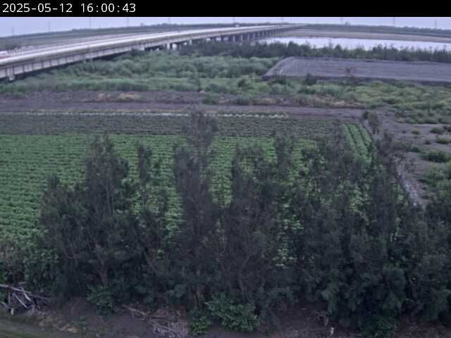 水利署水資源  水利行政組 西濱大橋(2) 距離1.7公里 氣溫26.2度
