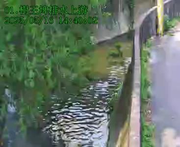 水利署水資源  台中市政府水利局 樹王埤排水上游 距離0.5公里 氣溫26.2度
